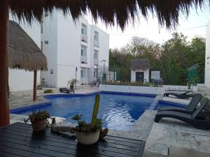 a swimming pool with chairs and a building at Deptos Alma in Tulum