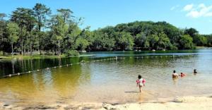 Afbeelding uit fotogalerij van Timber Ridge Retreat in Morton Grove +98 foto's