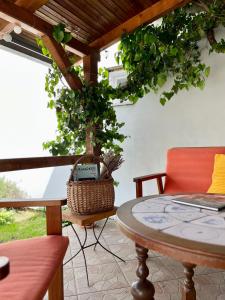 un patio con una mesa y un árbol en maceta en Wert House, en Novi Sad