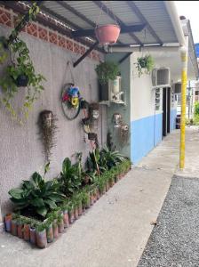 Afbeelding uit fotogalerij van Hostel Boa Vista in Joinville +25 foto's