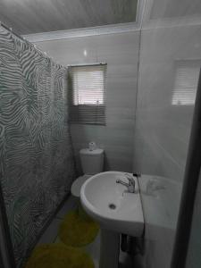 a bathroom with a sink and a toilet at Mama R's Budget-friendly BACKROOM 2 in Newcastle +63 photos