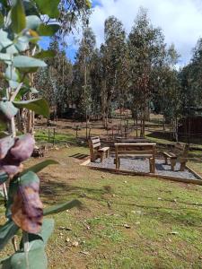 Сад в Hotel Estancia Don Domingo