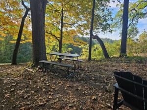 a picnic table and bench next to a tree at The Hocking Hills Store Campsite #3 in Logan +16 photos