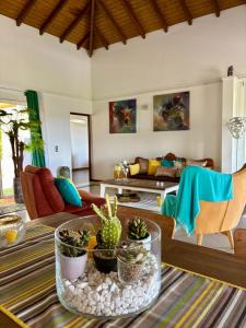 ein Wohnzimmer mit einem Tisch mit Pflanzen darauf in der Unterkunft Villa Iséa - Piscine privée & Terrasse Vue Mer in Le Gosier