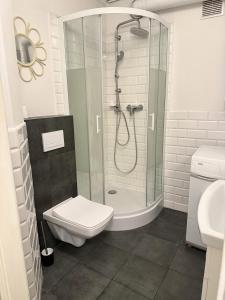 a bathroom with a shower and a toilet and a sink at Justinrent Piekarska in Legnica +11 photos