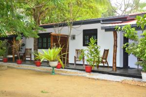 a house with chairs and plants in front of it at Livinginn Polonnaruwa in Polonnaruwa