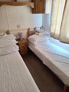 2 camas individuales en una habitación con mesita de noche en TF1 Static, en Aberystwyth