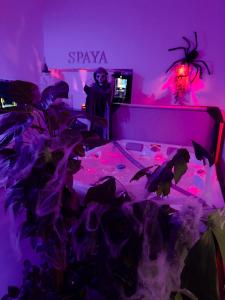 Ảnh trong thư viện ảnh của SPAYA JACUZZI centrum apartment - with home cinema & private parking ở Košice