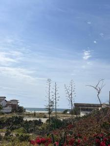 a view of a beach with trees and flowers at Casa no Foguete com piscina in Škorak