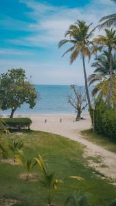 Příroda nedaleko prázdninového domu