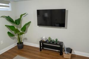 a living room with a tv and a table with a plant at Studio Apartment A - Full Kitchen - Cozy and Modern in Brampton +3 photos