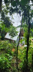 a house in the middle of a forest with trees at Eco Bamboo House in Florianópolis