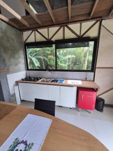 a kitchen with a sink and a table in a room at Eco Bamboo House in Florianópolis