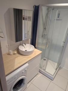 a bathroom with a sink and a washing machine at Le Triplex maison de ville rénovée in Wasselonne +17 photos