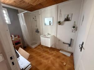 y baño con lavabo y ducha. en Villa La Cruzanelle, en Sainte-Rose 22 fotos más