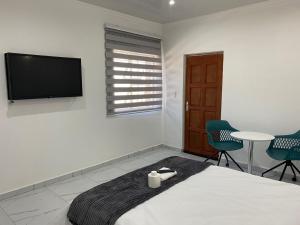 a bedroom with a bed and a tv and chairs at The Palms Guest House in Johannesburg