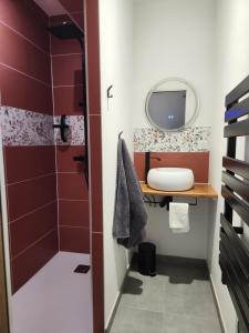 une salle de bain avec lavabo et douche dans l'établissement Le coq'oon de challes, à Challes