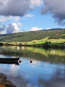 ein Boot auf einem See mit einem Hügel im Hintergrund in der Unterkunft Au petit montagnard in Les Rousses