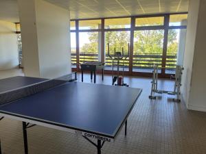 eine Tischtennisplatte in der Mitte eines Zimmers in der Unterkunft Au petit montagnard in Les Rousses
