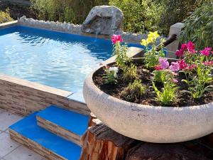 ein großer Steintopf mit Blumen neben einem Swimmingpool in der Unterkunft Cabañas Río in Huerta Grande + 21 Fotos