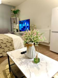 TV a/nebo společenská místnost v ubytování Kidbrooke station Greenwich studio flat near O2 & London Bridge