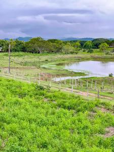 un champ avec une clôture à côté d'un étang dans l'établissement Lago Caribe 302, à Coveñas 69 autres photos