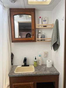 a bathroom with a sink and a mirror at Comfortable Guest RV With EV charger Semi Rural Area in Bodfish