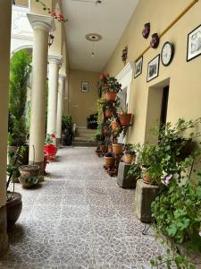 Gallery image of La Casona in Totora