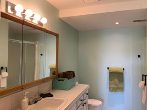 a bathroom with a sink and a mirror at Imperial Ranchettes GuestSuite in Lone Butte