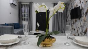 Posezení v ubytování Oyarifa Luxury Apartment