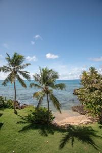 two palm trees on a beach near the ocean at Balcon des alizés pieds dans l'eau in Le Gosier