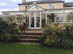 a dog standing on the stairs of a house at West Wold Farm House B&B in Barton upon Humber