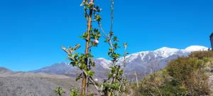 Galeriebild der Unterkunft La Nave del Olvido in Potrerillos