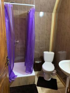 ein Badezimmer mit einem lila Duschvorhang und einer Toilette in der Unterkunft Армаден in Slawske + 19 Fotos