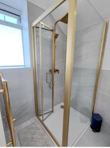 a shower with a glass door in a bathroom at Blue Door Apartments in Dover +7 photos