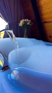 a tub filled with water next to a vase of flowers at Cabana Refúgio Barn in Caxias do Sul