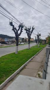 a group of three trees on the side of a street at Hospedaje - Apart Hotel Las Higueras Talcahuano in Talcahuano