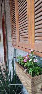 Fotografie z fotogalerie ubytování Casa de Campo Caminho do Petar - Rancho Quemeninho v destinaci Apiaí