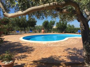 Bazén v ubytování Agriturismo Casale Sasso nebo v jeho okolí
