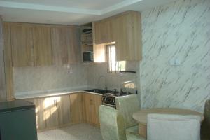 Kuchyň nebo kuchyňský kout v ubytování EH Apartments