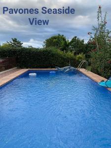 Fotografie z fotogalerie ubytování Pavones Seaside View v destinaci Pavones