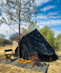 two chairs and a tent next to a tree at Rocky Ridge Glamping Yosemite in Coarsegold
