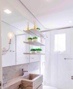 een badkamer met een wastafel met planten op de planken bij Apartamento Del Veneto in Canela +68 foto's