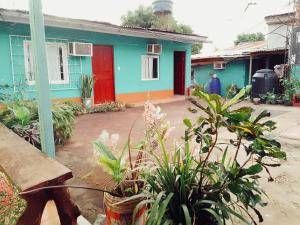 a colorful house with plants in front of it at Hostel Loli in Puerto Iguazú