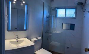 a bathroom with a toilet and a sink and a shower at Corbeta in Piriápolis +27 photos