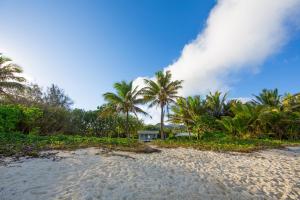 einen Strand mit Palmen und ein Haus im Hintergrund in der Unterkunft Frederick and Ngamata's Beach House in Rarotonga