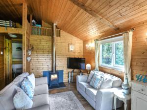 a living room with a couch and a tv in a cabin at The Owl's Nest - Uk50546 in Penegoes
