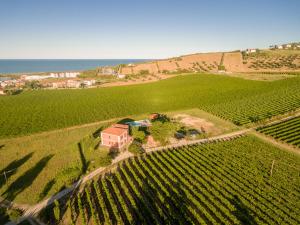 uma vista aérea de uma quinta numa vinha em Agriturismo Agrimare Barba em Pineto