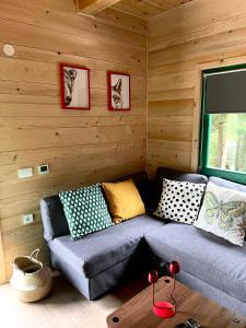 a living room with a couch in a cabin at Apartmani Miris dunja Tara in Šljivovica