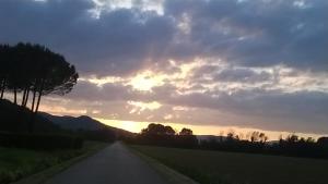 Príroda v okolí farmy